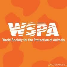 WSPA logo on orange background with stylized text 