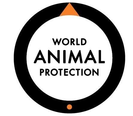 World Animal Protection logo: Black circle with orange triangle and dot, white center, text 