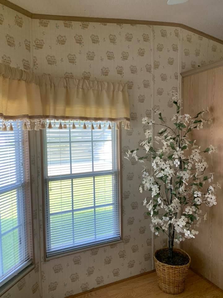 Corner of a room with a window, blinds, beige curtains, patterned wallpaper, and a potted white flower tree.