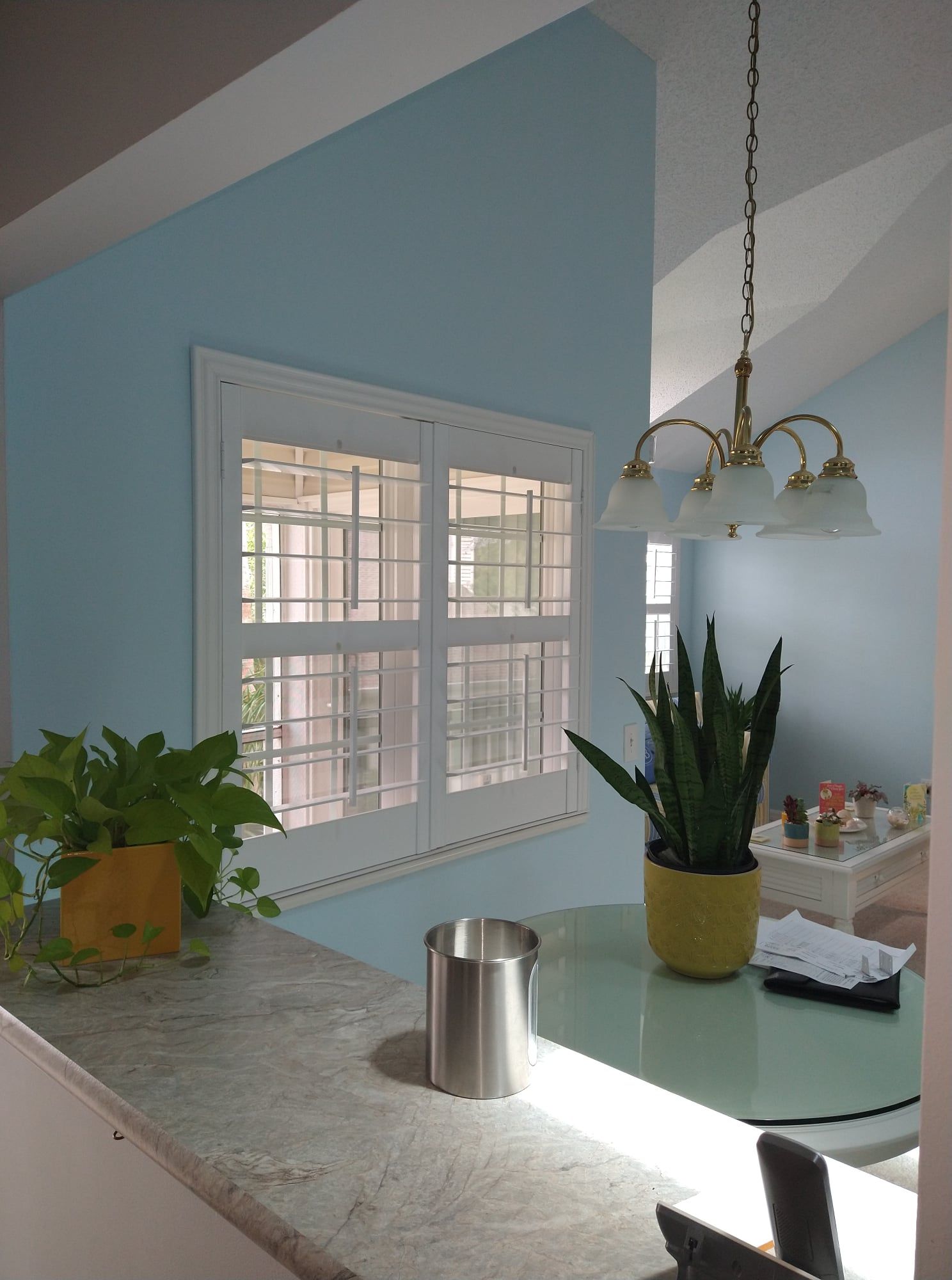 Interior view of a kitchen with light blue walls, a white-framed window, and a plant-filled countertop.