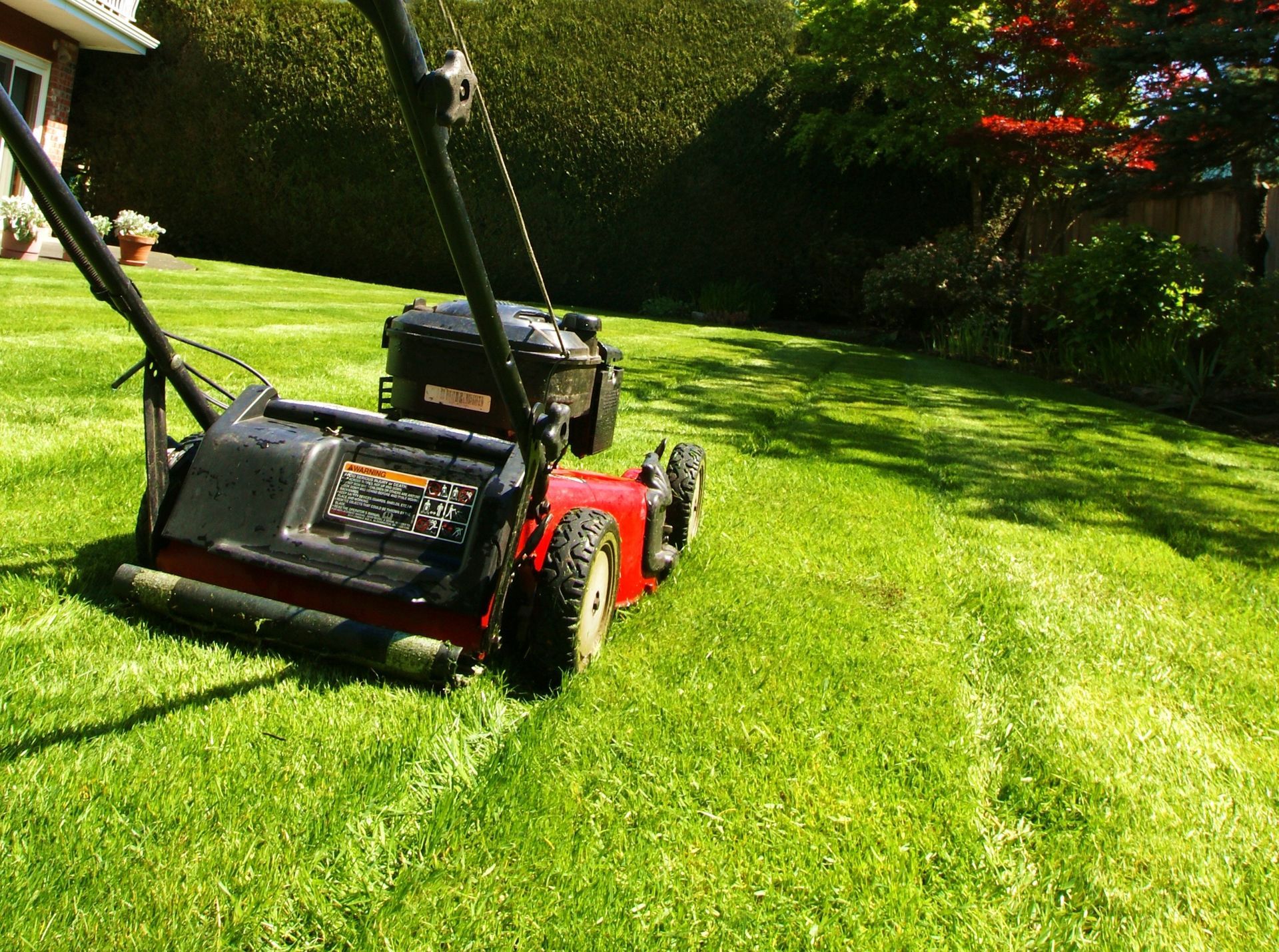 Red lawn mower on a sunlit grassy lawn with a trimmed hedge in the background
