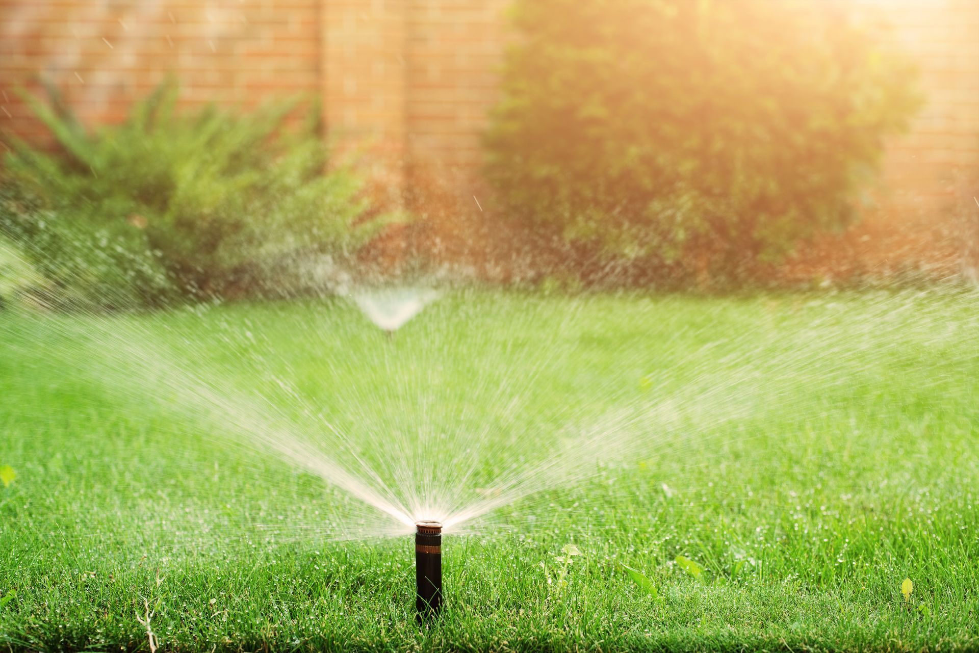 Sprinkler watering a green lawn in front of a brick wall on a sunny day