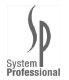 System Professional