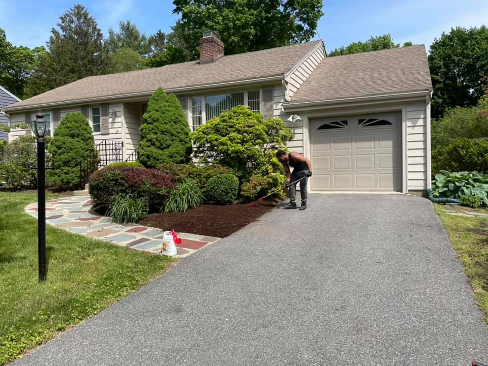 junk removal services