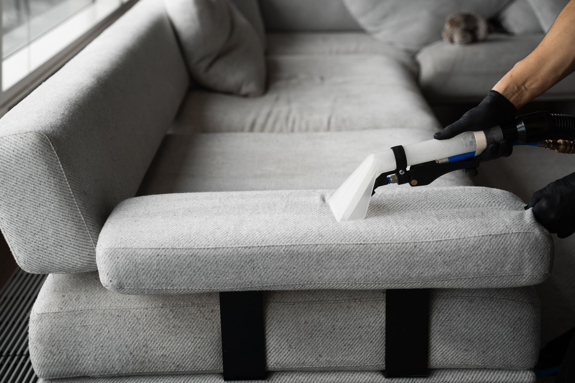 Person cleaning a light gray sofa with a cleaning tool, wearing black gloves.