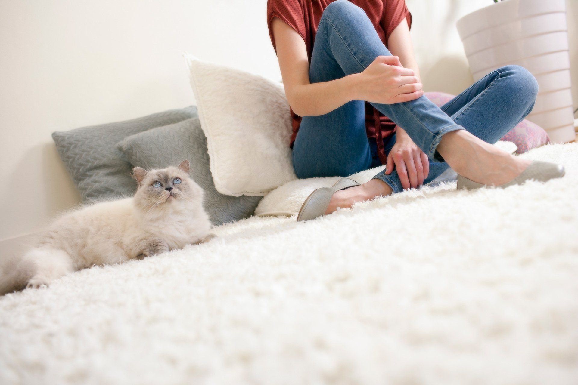 CARPETS