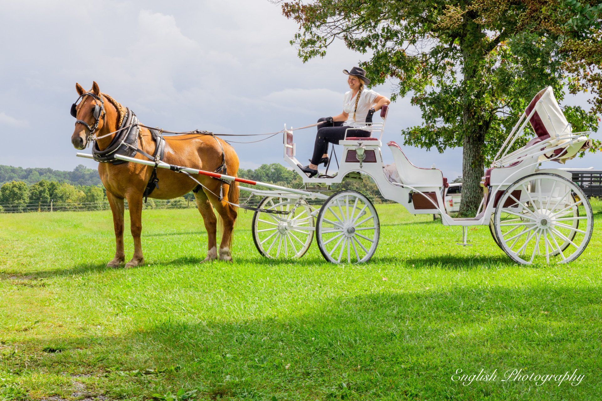 barn wedding venue chattanooga, tn