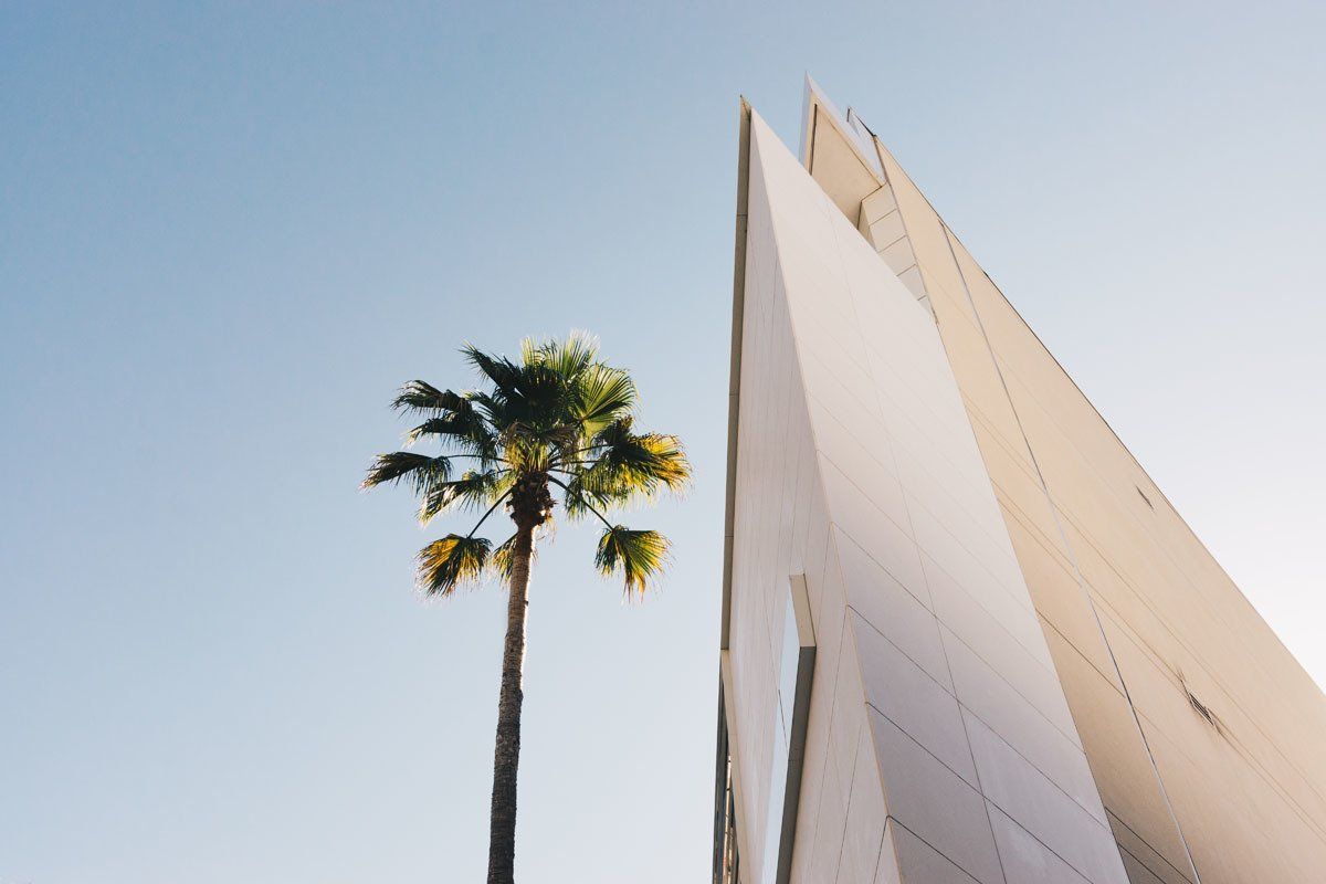 Looking up at a tall building with a palm tree in front of it.