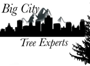 Big City Tree Experts