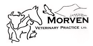 Morven Veterinary Practice Ltd company logo