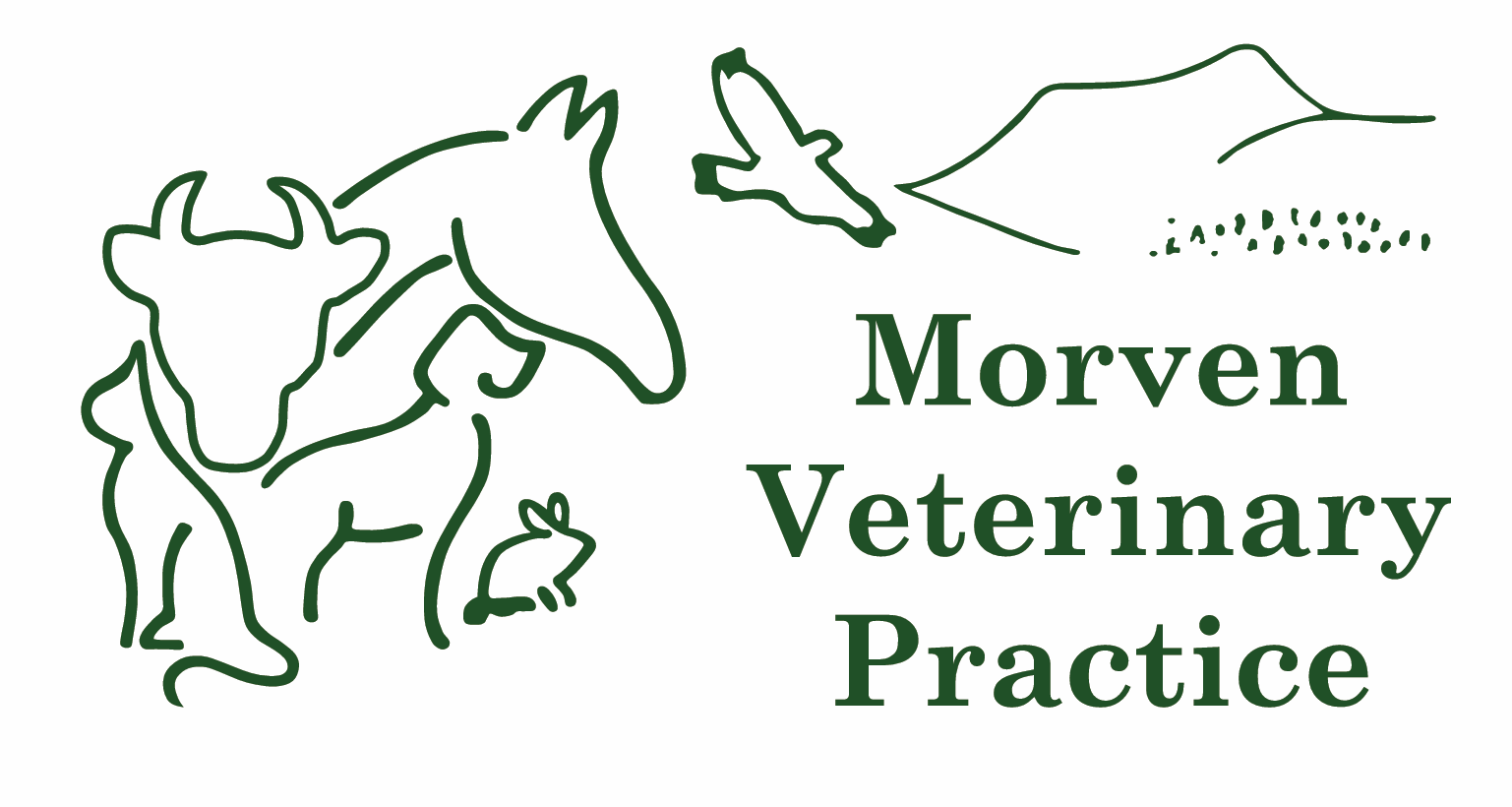 Morven Veterinary Practice Ltd company logo