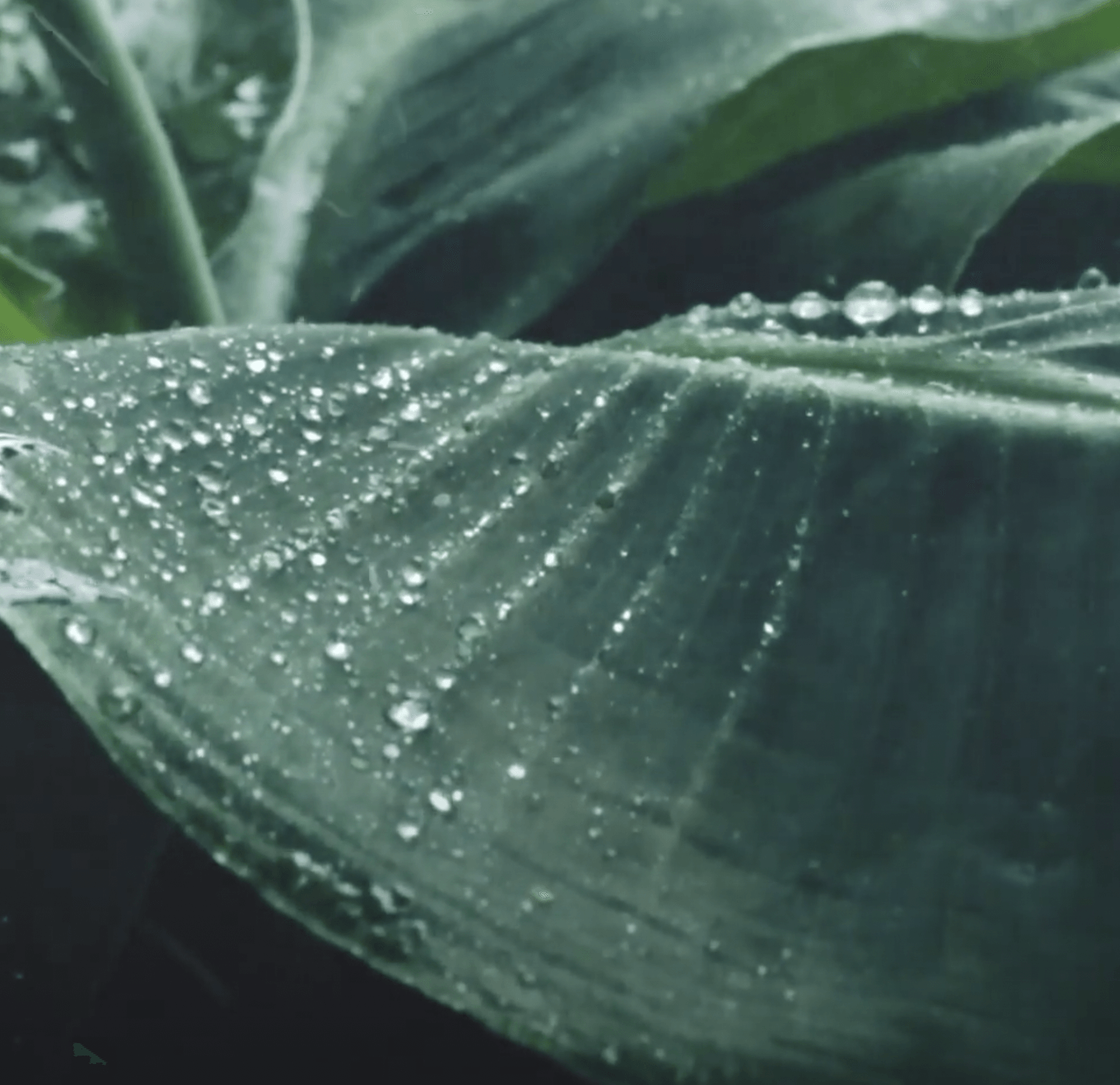 Meditatie om bij jezelf in te checken