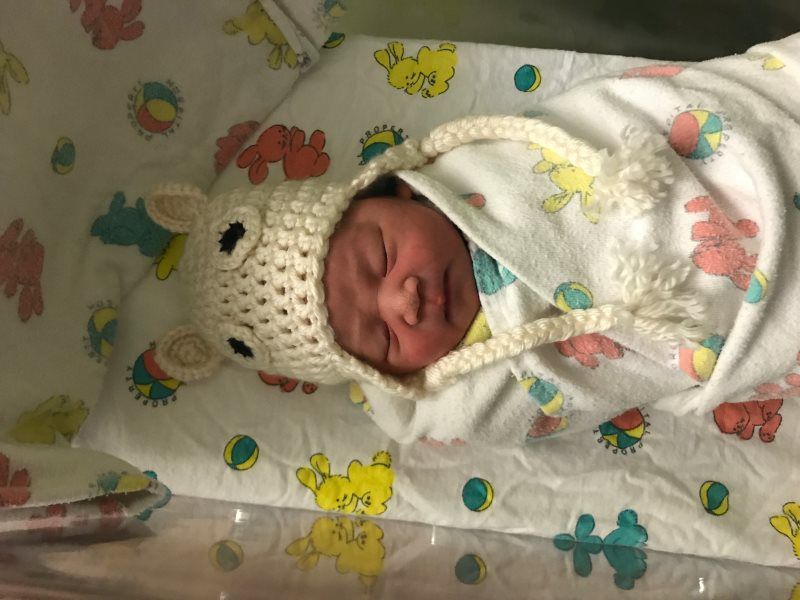 Newborn swaddled in blanket, wearing bear hat, resting in hospital crib.