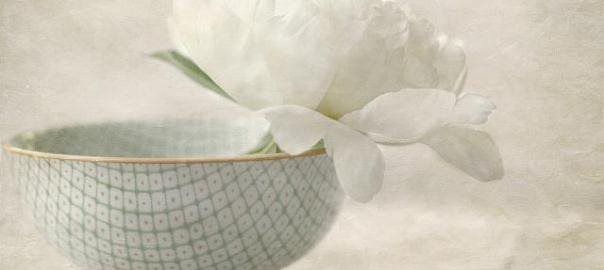A white flower leans over a light blue patterned bowl. Soft background.