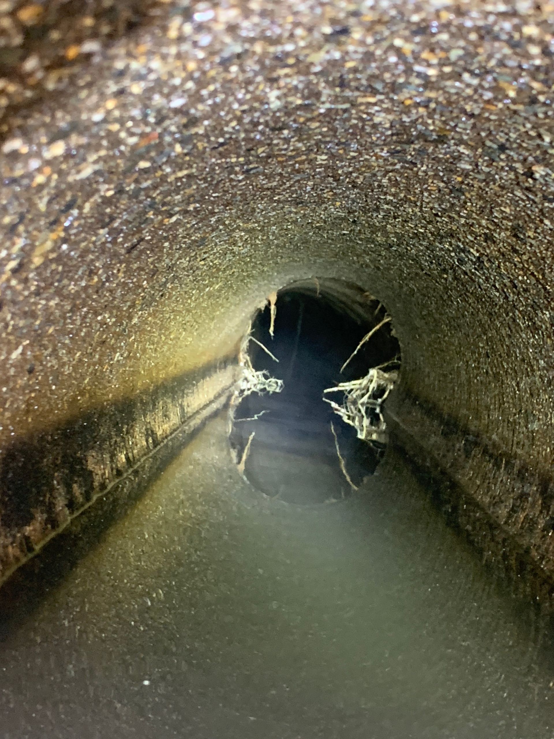 Man on a ladder installing a ceiling light in a kitchen