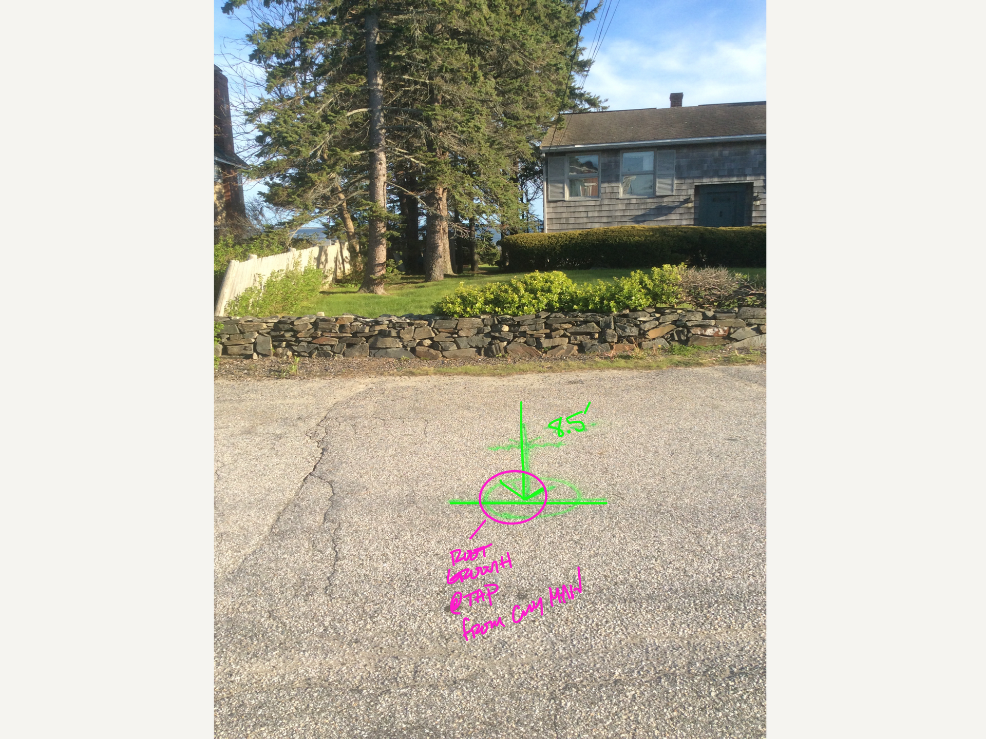 Man on a ladder installing a ceiling light in a kitchen