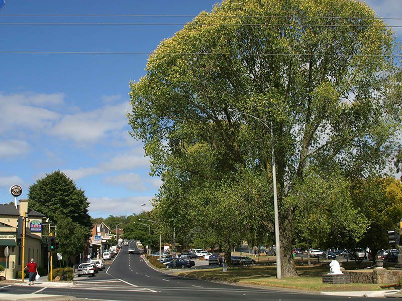 A Building with A Tower and Trees in the Foreground — Heal Connect in Glen Waverley, NSW