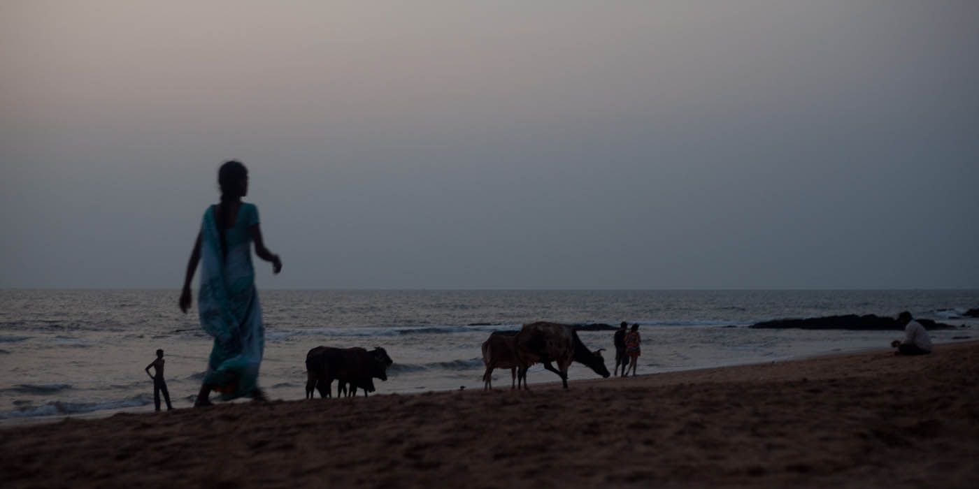 Frau und Rinder am Strand in der Abenddämmerung.