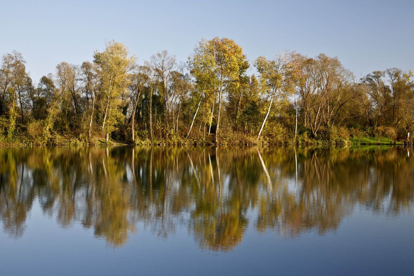 Bäume mit gelben Blättern spiegeln sich in einem ruhigen See unter klarem, blauem Himmel.