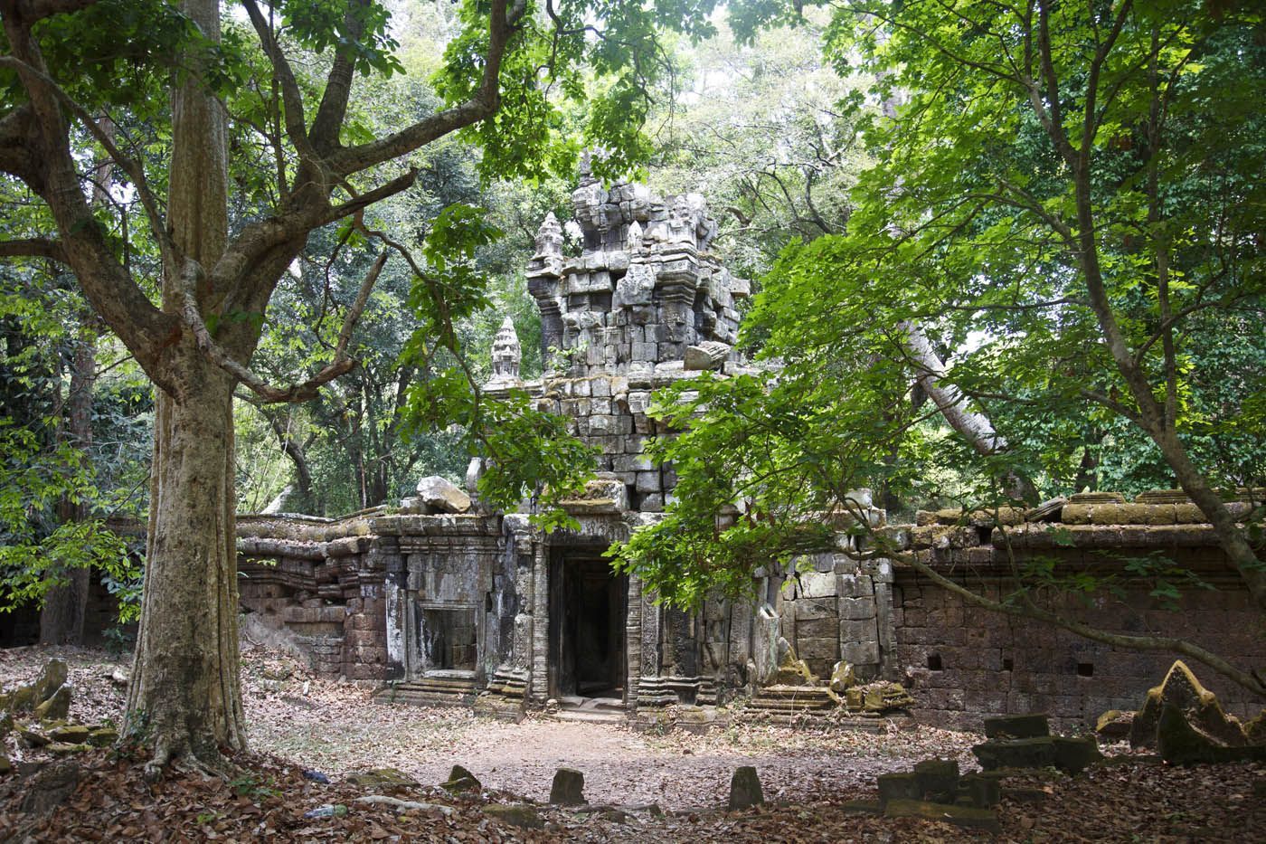 Antike Steintempelruinen, umgeben von grünen Bäumen in einer Dschungellandschaft.