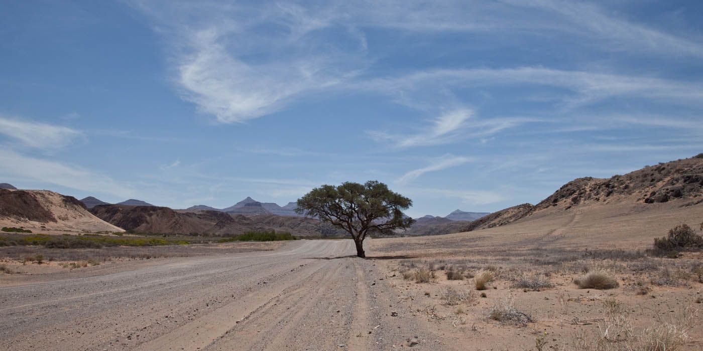Schotterstraße durch Wüstenlandschaft; einsamer Baum unter blauem Himmel, Berge in der Ferne.