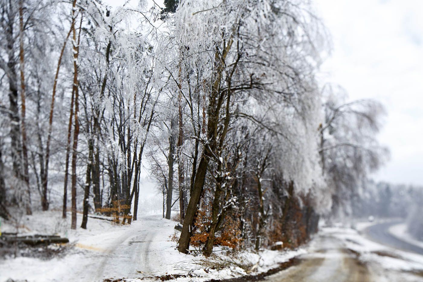 Eisbedeckte Bäume säumen eine verschneite Straße und bilden eine winterliche Szenerie.