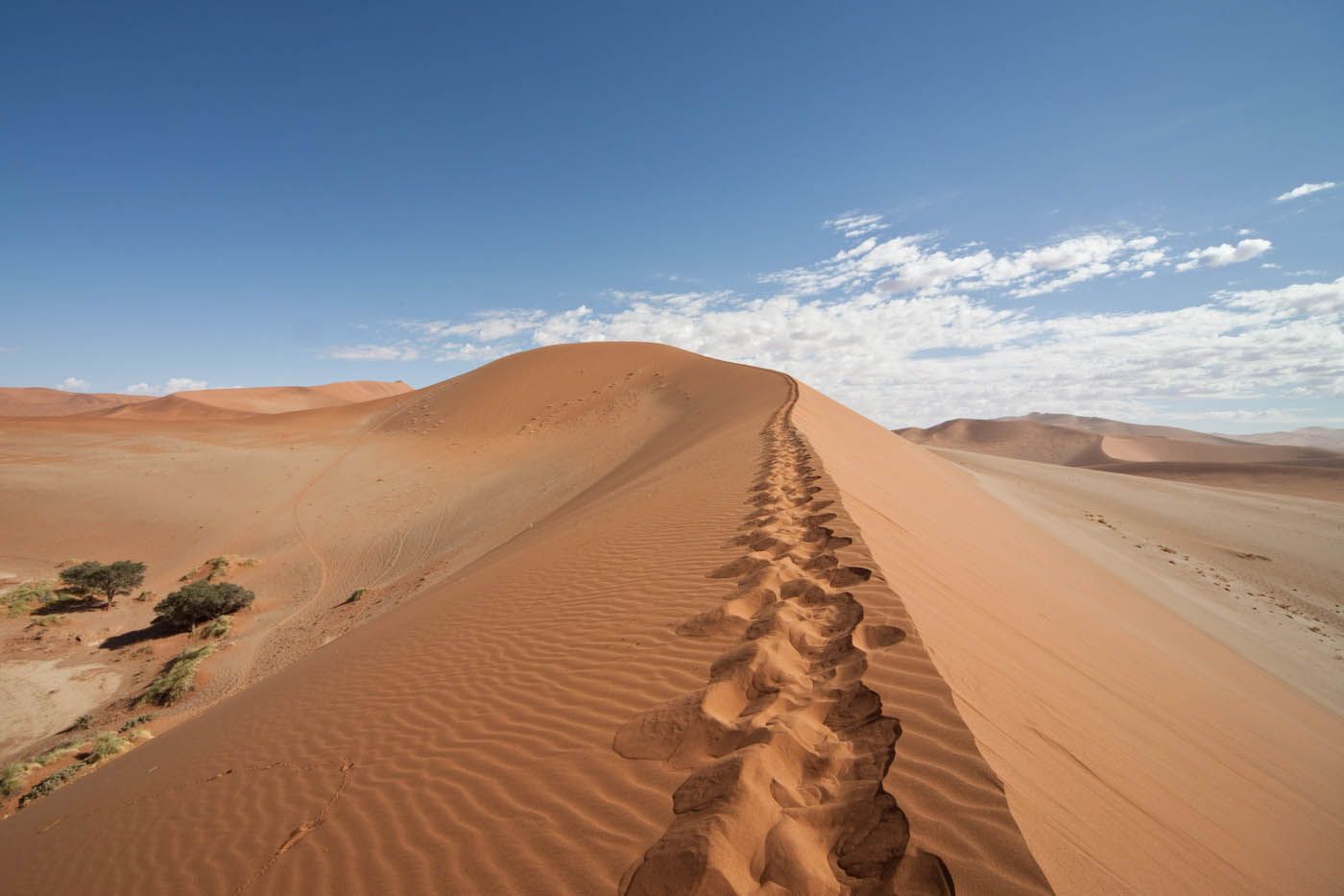 Fußspuren auf einer Sanddüne, unter blauem Himmel, in einer Wüstenlandschaft.