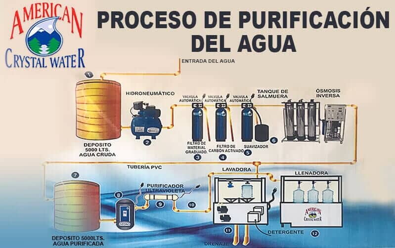 AMERICAN CRYSTAL WATER- Agua purificada