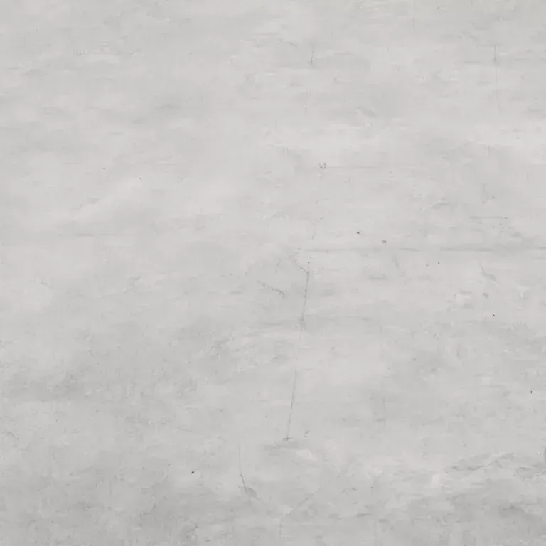 Burnished Concrete Finish