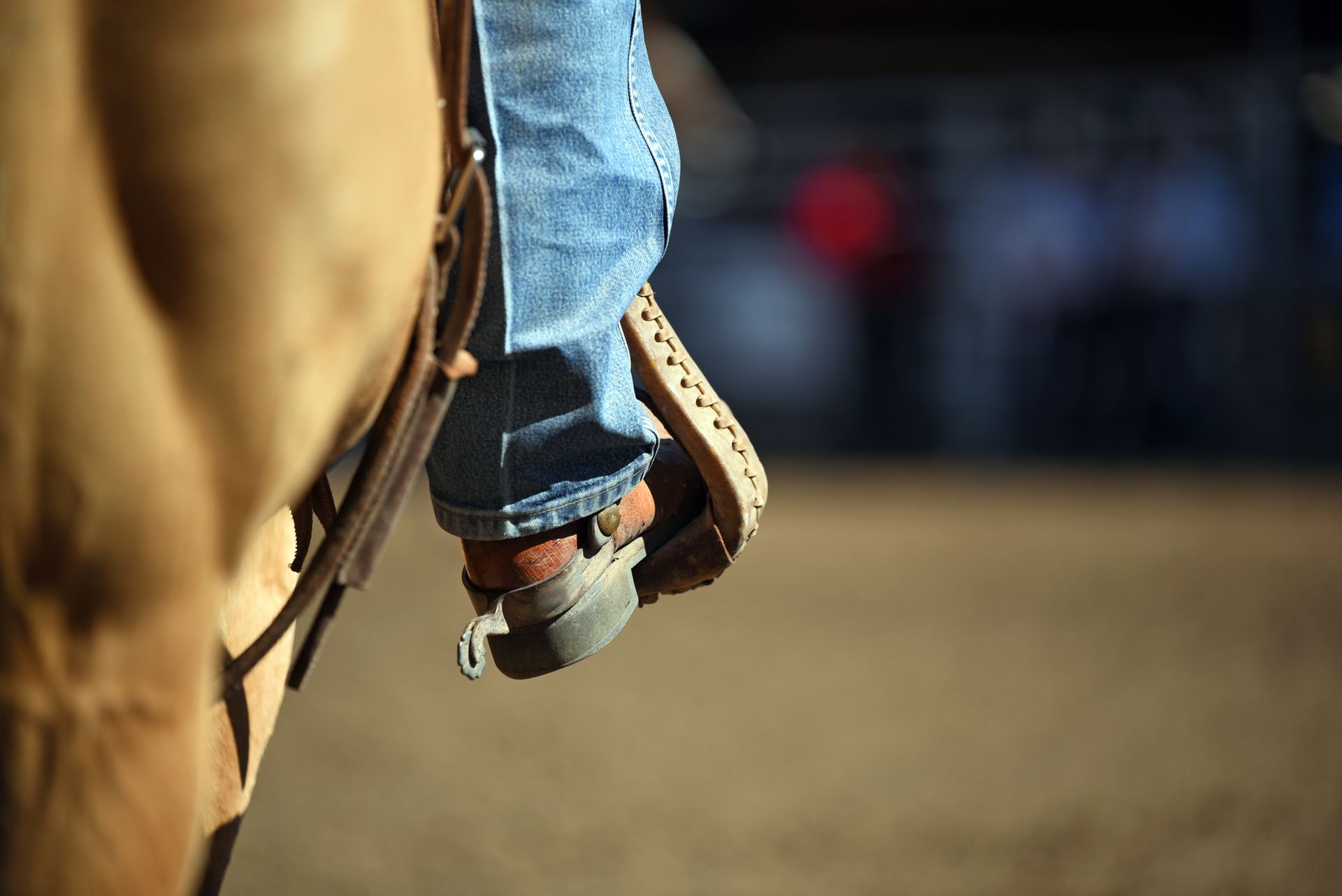 A close up of a person riding a horse.