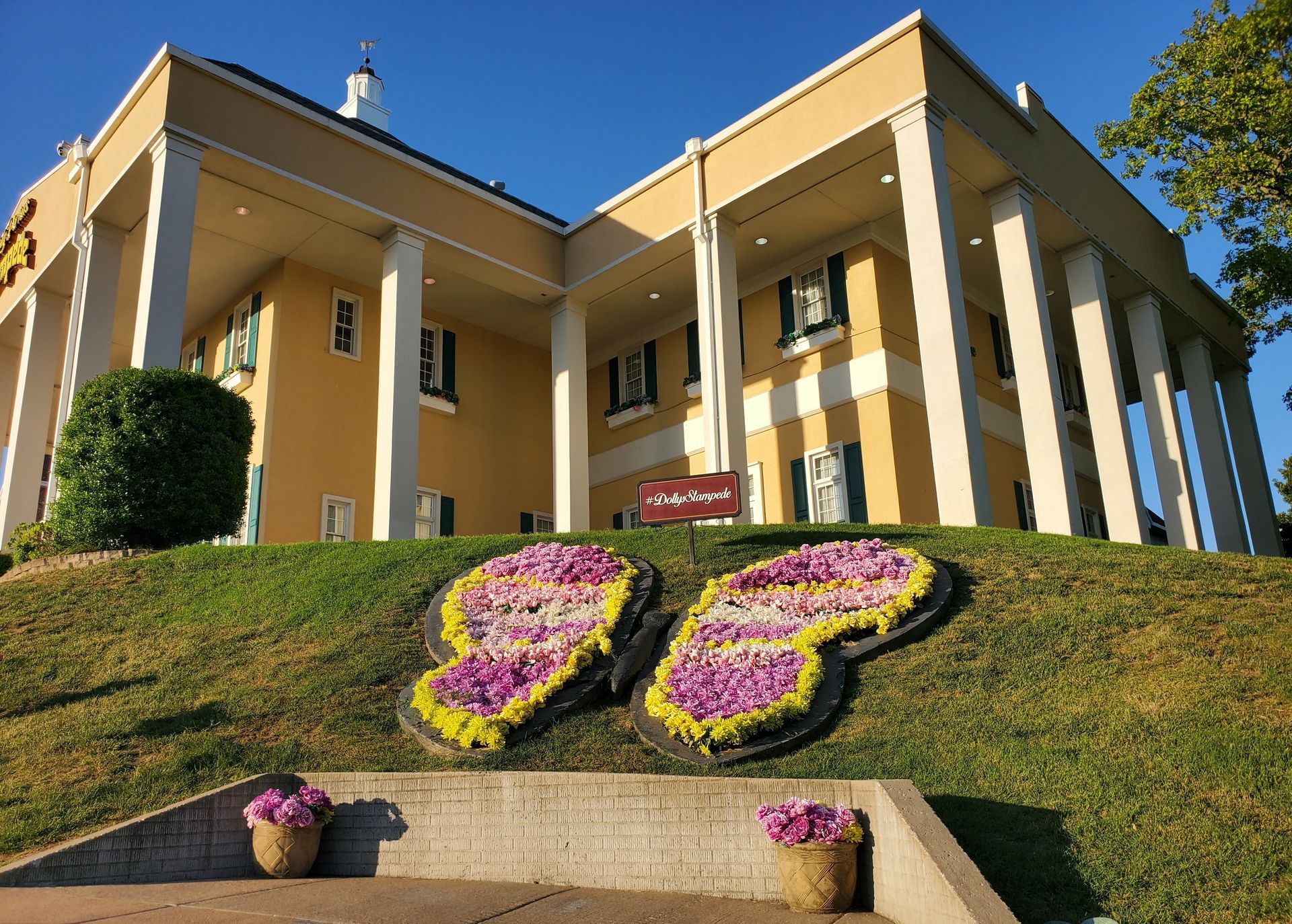 A large building with flowers in the shape of butterflies in front of it