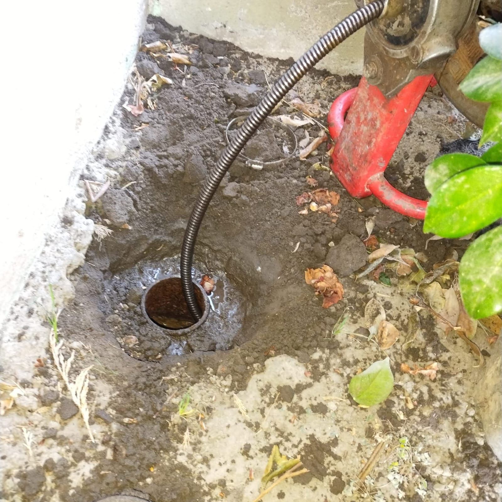 A drain pipe being cleared with a snake tool, next to a red watering can.