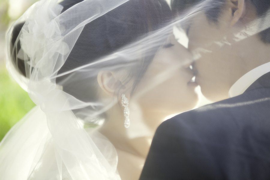 A bride and groom are kissing under a veil.