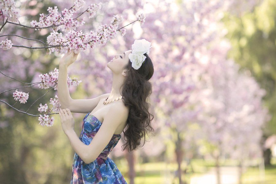 A woman in a blue dress is smelling a cherry blossom tree.