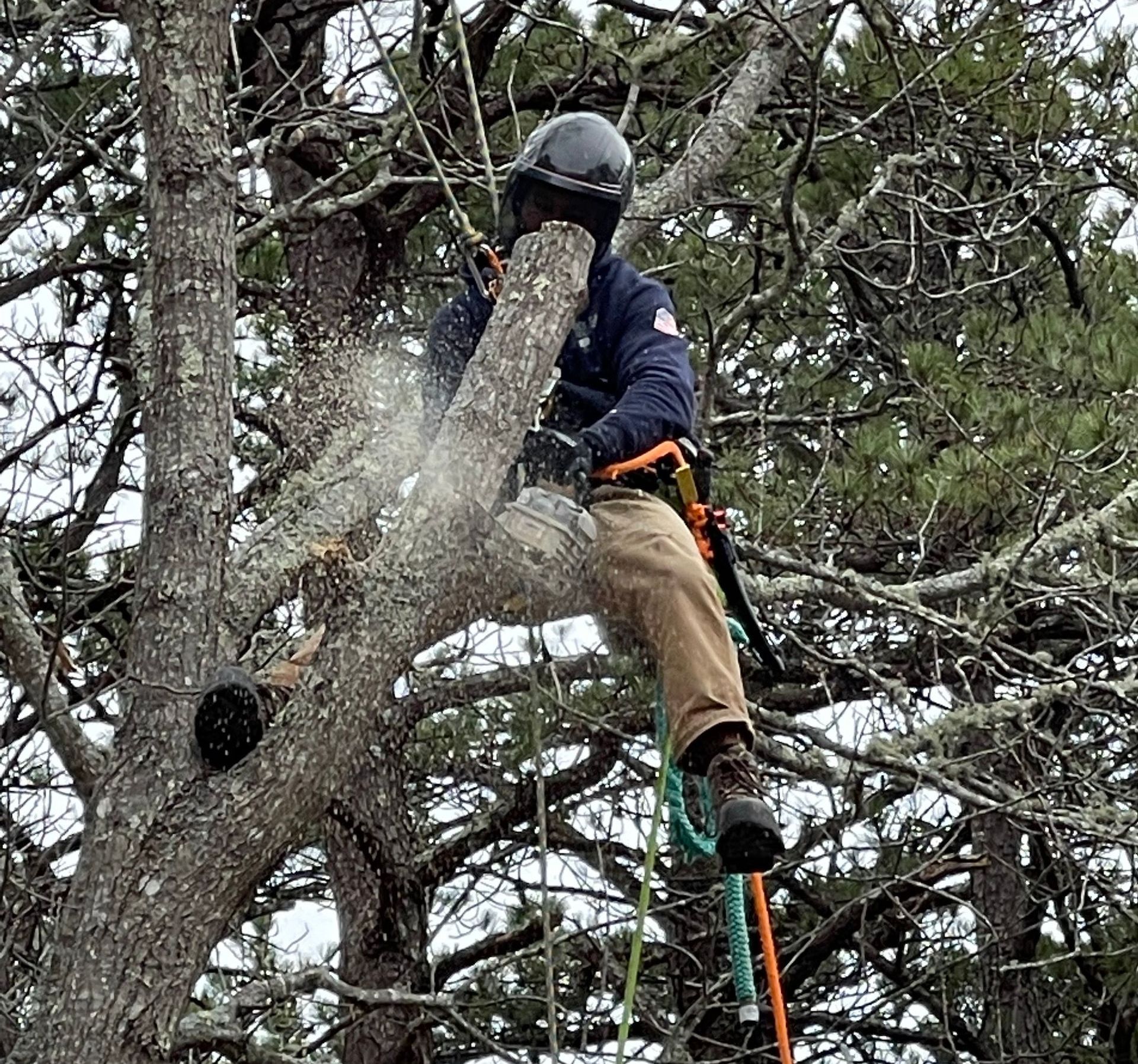 A man is cutting a tree branch with a chainsaw.