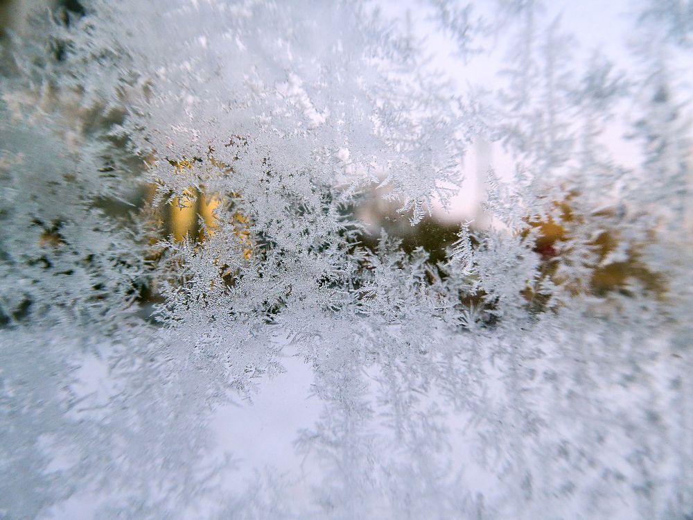 a close up of frost on a window with trees in the background