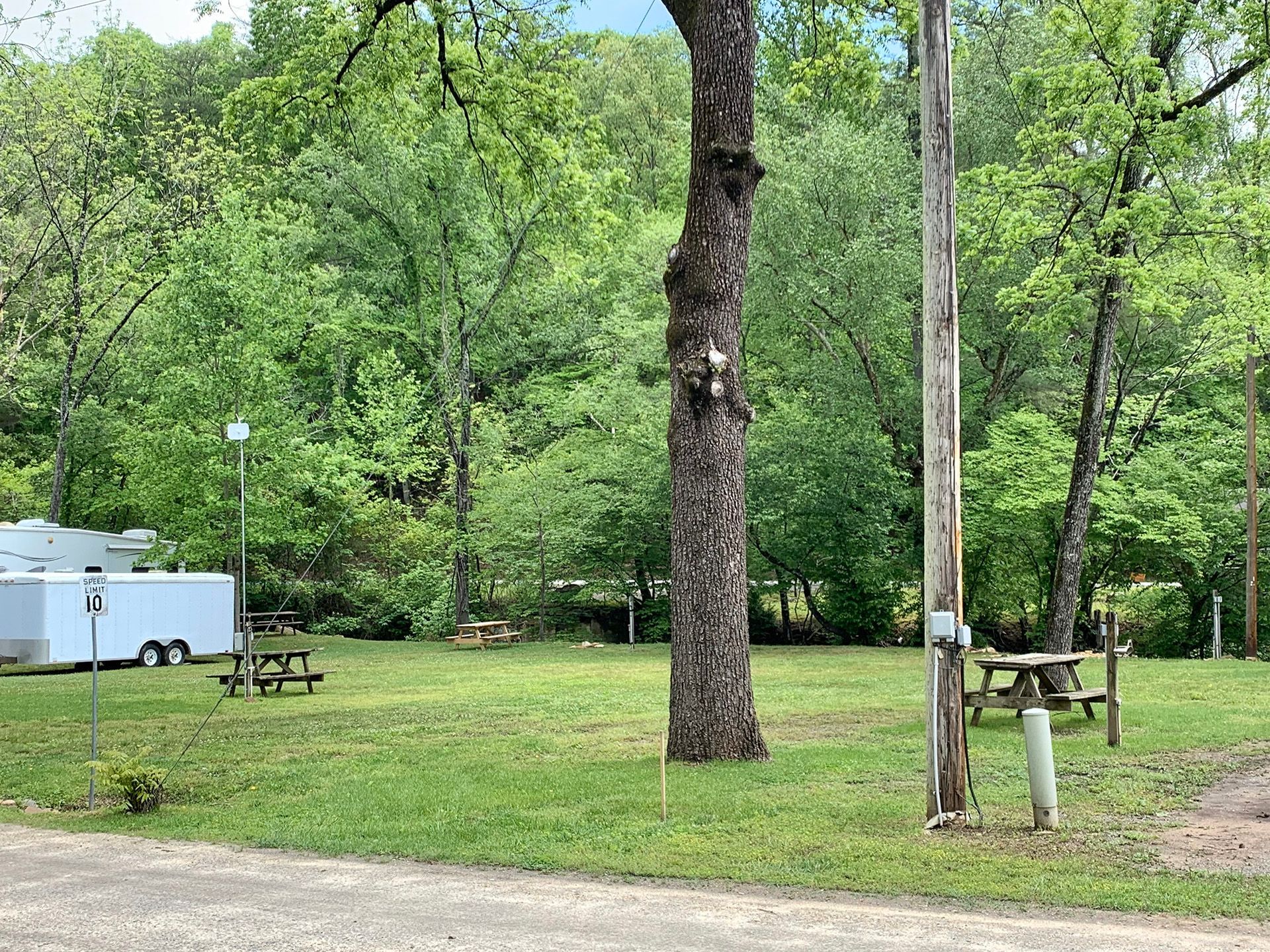 A picnic table is sitting in the middle of a grassy field surrounded by trees.