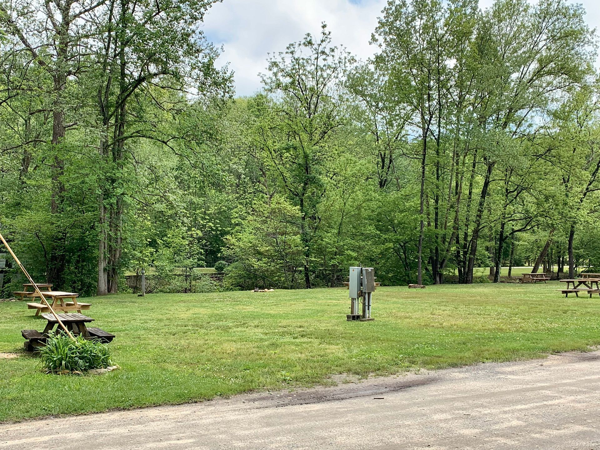 A field with a lot of trees and picnic tables in it.