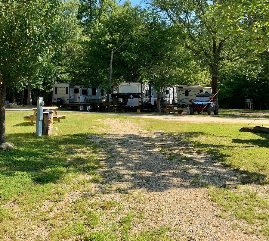 A group of rvs are parked in a grassy area.