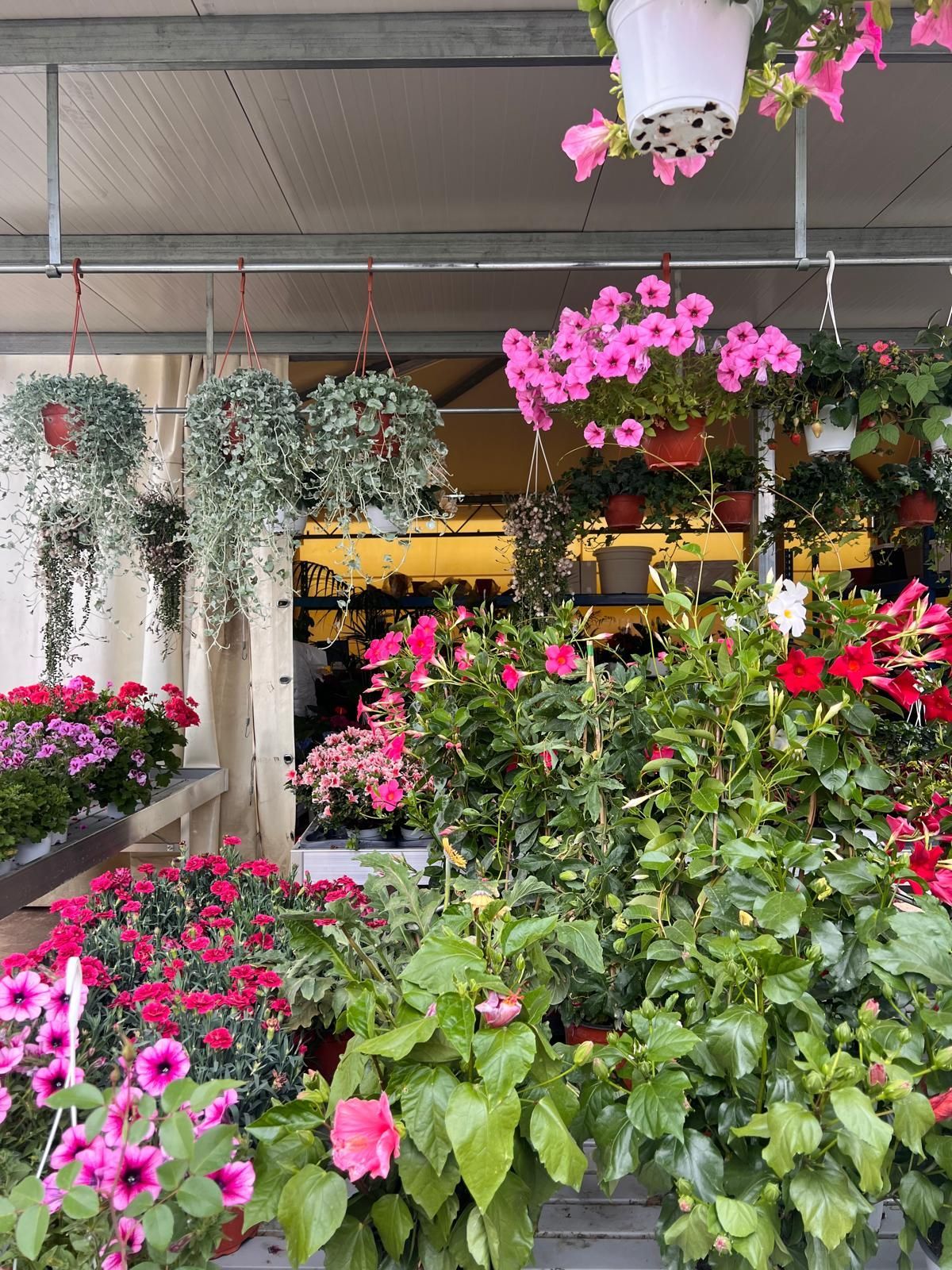 COMPOSIZIONE DI FIORI