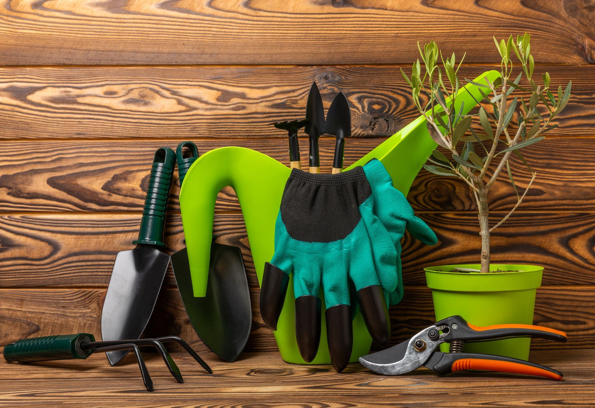 ACCESSORI PER IL GIARDINAGGIO