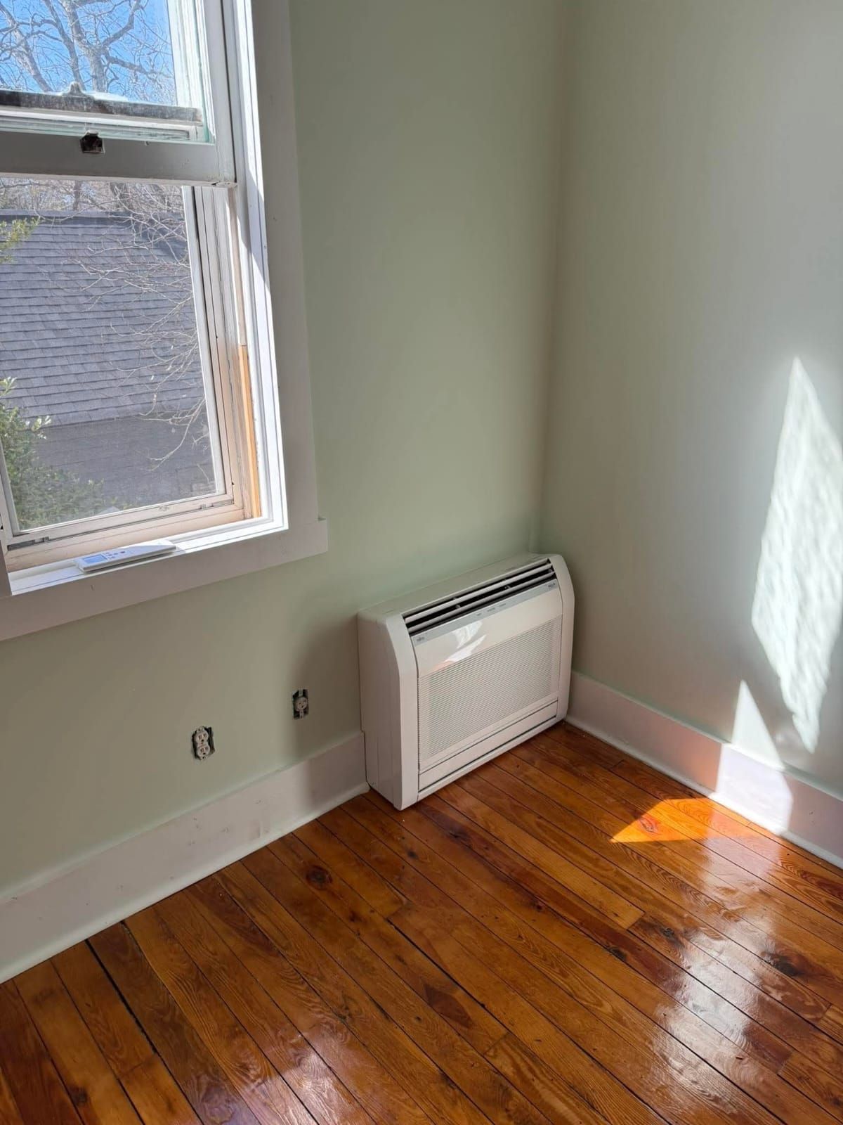 Corner of a room with hardwood floors, a white heater, and a window. Walls are pale green.