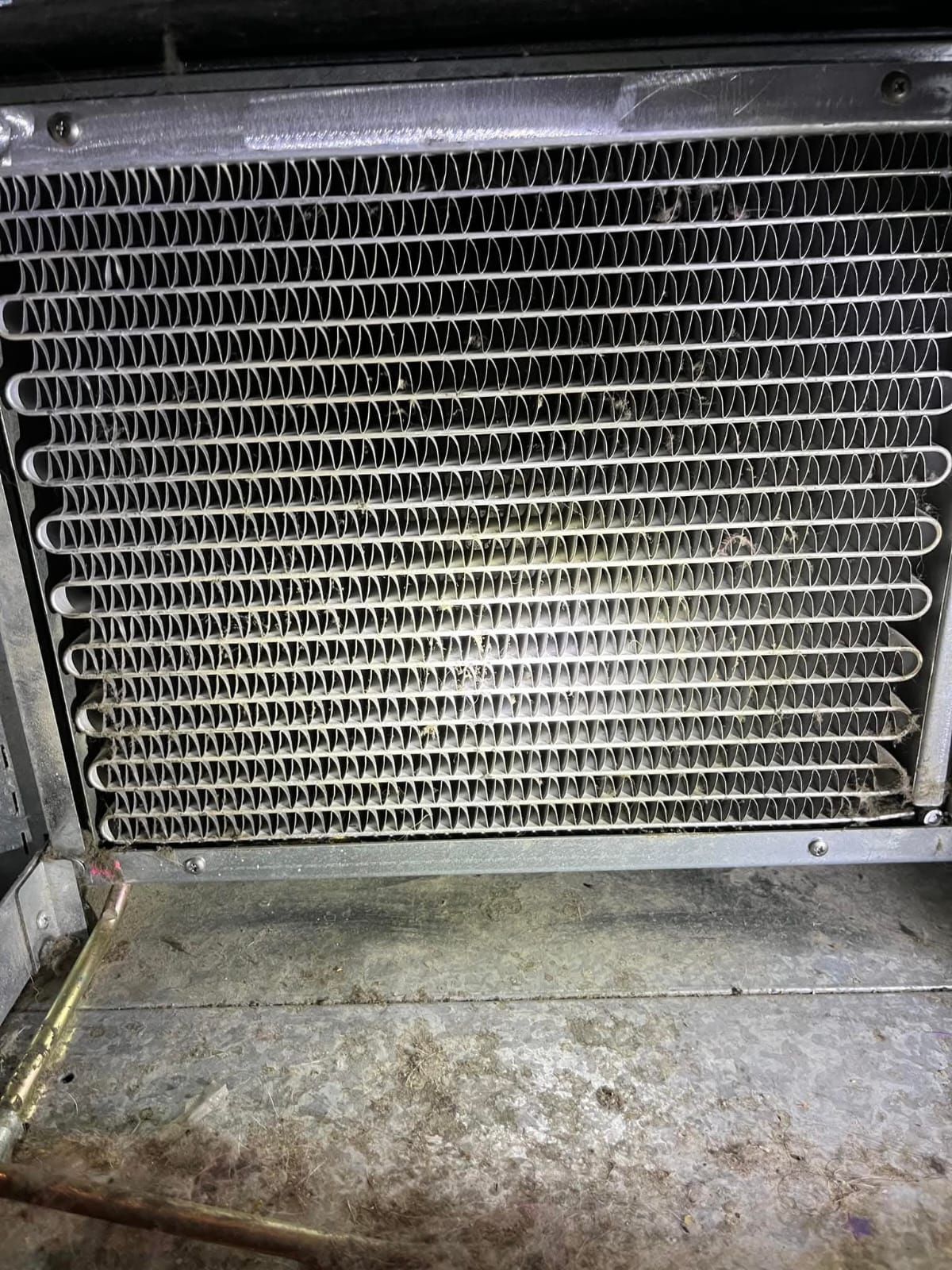 Metal evaporator coils with fins inside a refrigeration unit.
