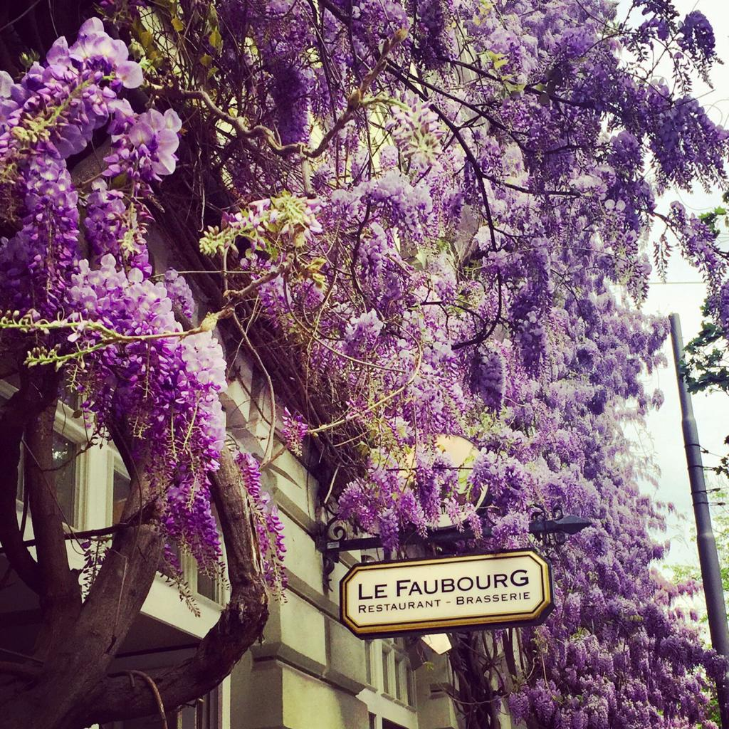 Le Faubourg - Restaurant in Haidhausen, Munich