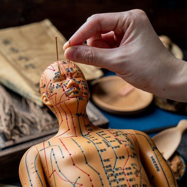 A person is putting an acupuncture needle in a mannequin. Acupuncture is one of the Energy Healing Modalities