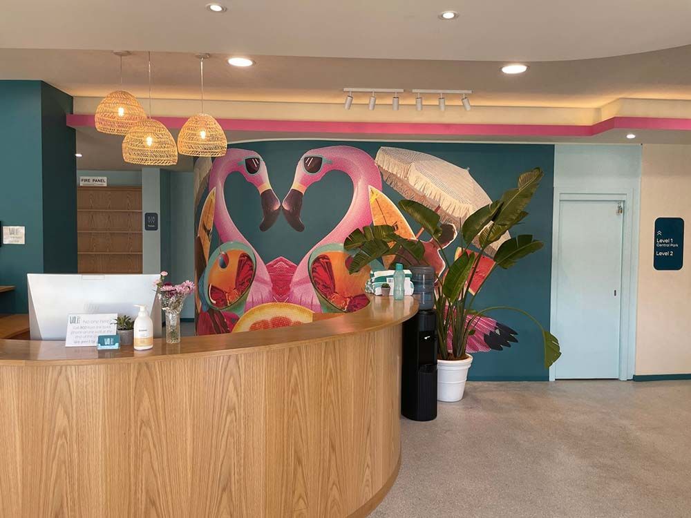 Flamingo Mural On Reception Area Wall — Shogun Signs & Print
