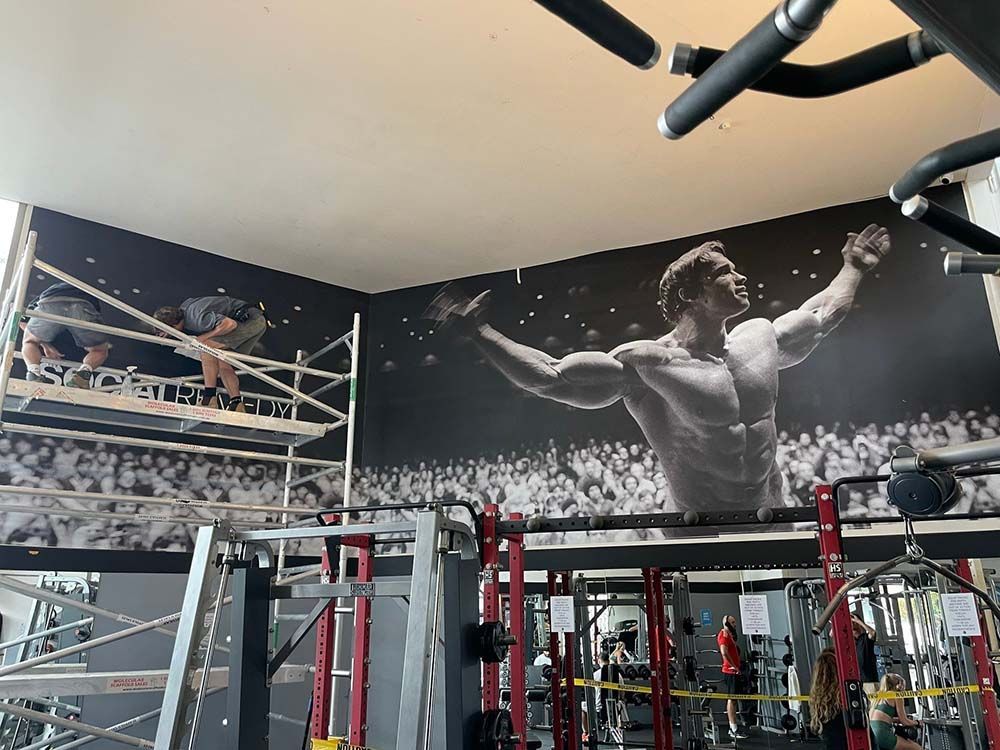 Wall Graphic Sign Inside The Gym — Shogun Signs & Print