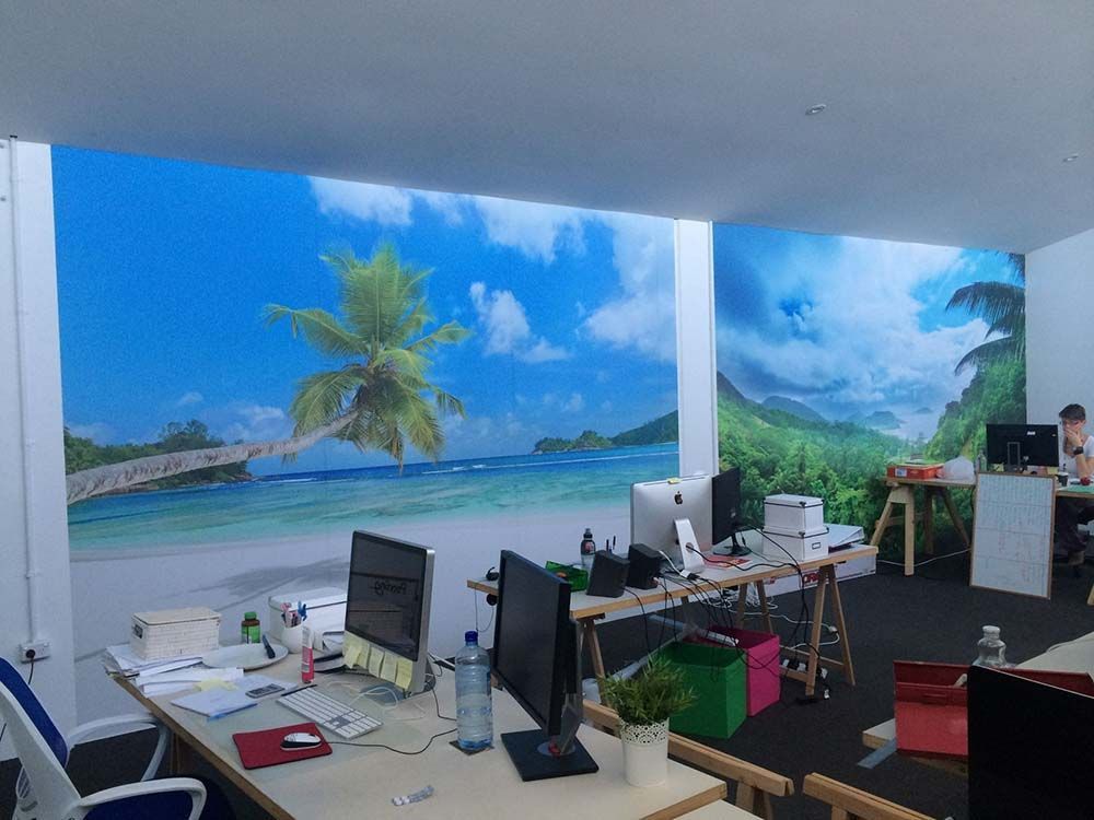 Tropical Scene Wall Graphics In An Office — Shogun Signs & Print