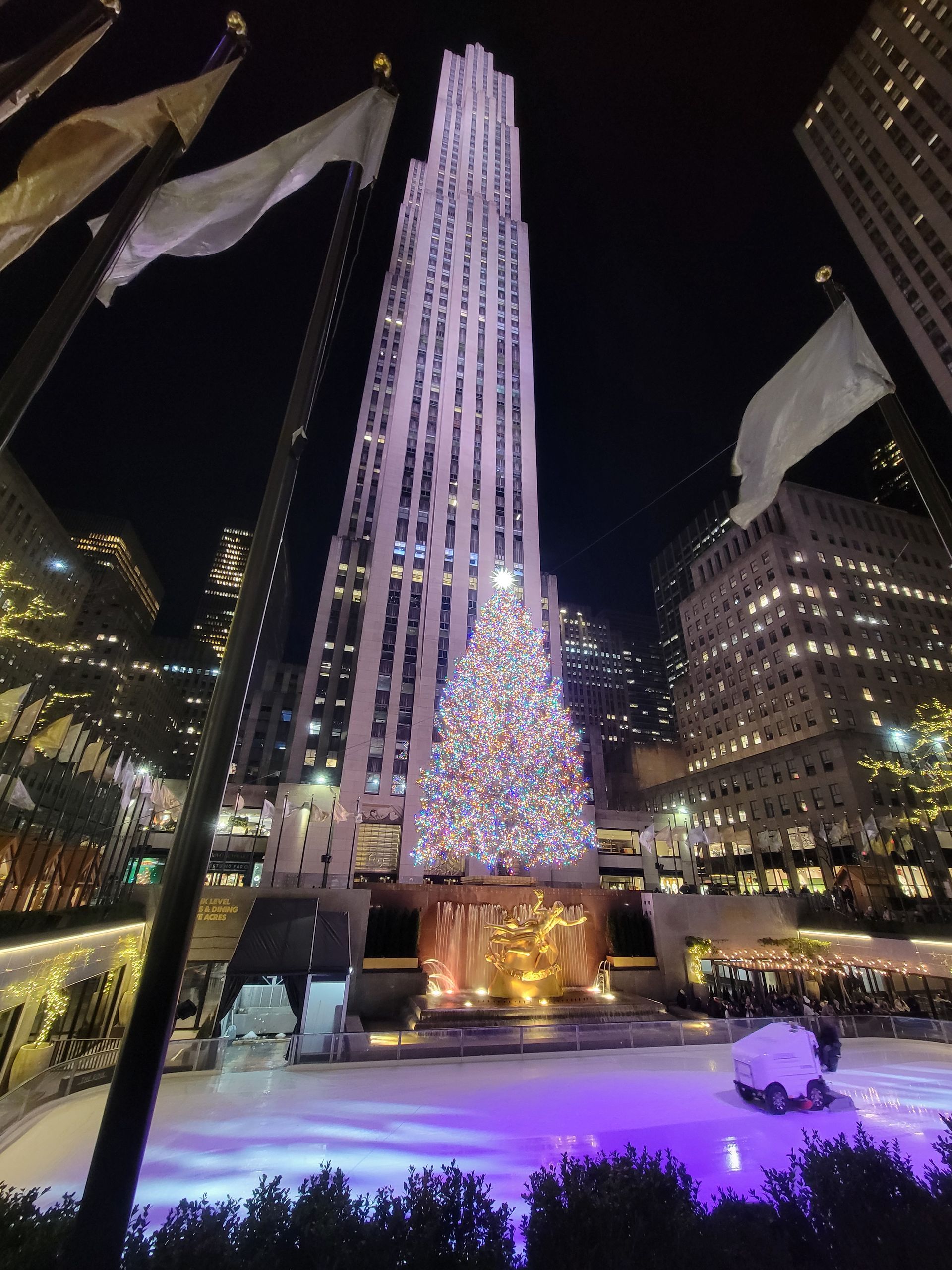 A large building with a christmas tree in front of it