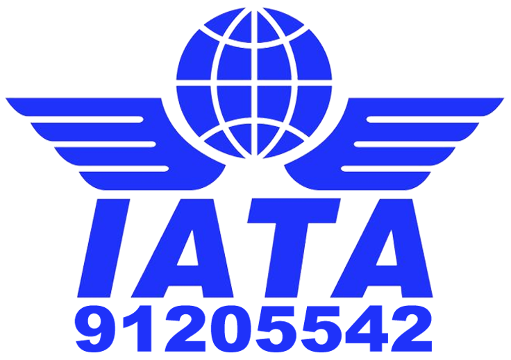 A blue logo for iata with a globe and wings